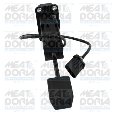 Accelerator Pedal Unit